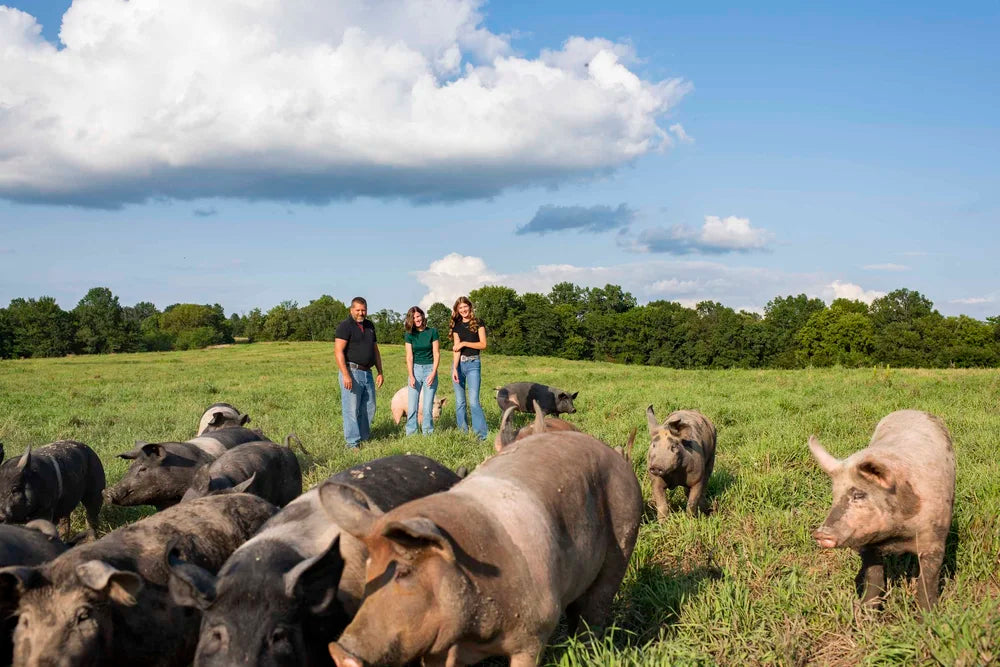 Support our farm